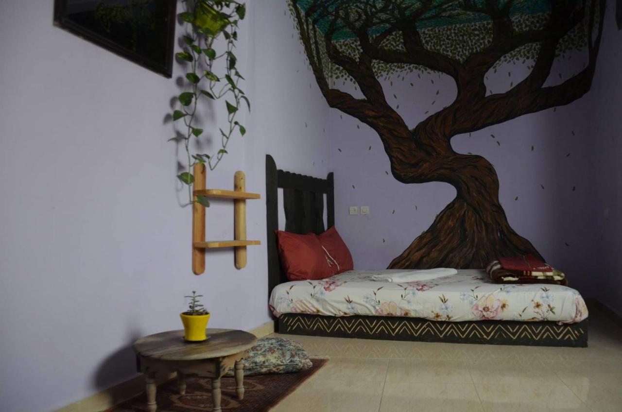 Tayought Surf Hostel Taghazout Szoba fotó